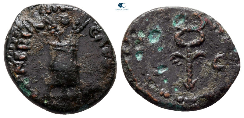 Nerva AD 96-98. Rome
Quadrans Æ

17 mm, 2,39 g



nearly very fine