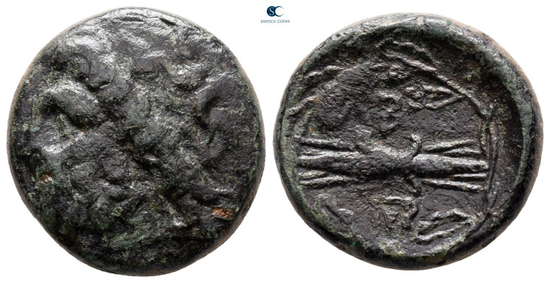 Kings of Epeiros. Pyrrhos 297-272 BC. 
Bronze Æ

20 mm, 6,04 g



nearly ...