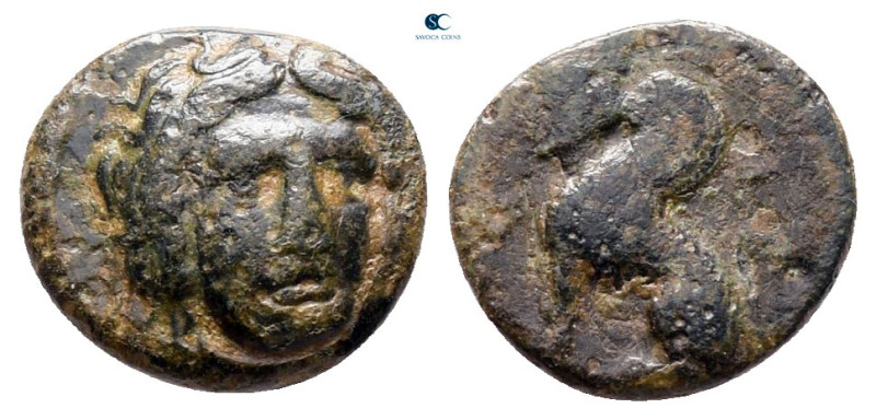 Caria. Kaunos circa 390-370 BC. 
Bronze Æ

10 mm, 0,88 g



nearly very f...