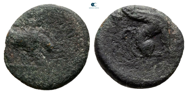 Caria. Kaunos circa 350-300 BC. 
Bronze Æ

11 mm, 0,76 g



fine