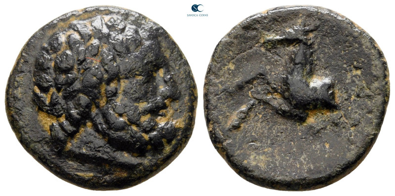 Pisidia. Termessos Major circa 100-0 BC. 
Bronze Æ

18 mm, 4,57 g



very...