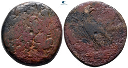 Ptolemaic Kingdom of Egypt. Alexandria. Ptolemy III Euergetes 246-221 BC. Tetrobol Æ