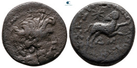Seleucis and Pieria. Antioch. Pseudo-autonomous issue 27 BC-AD 14. Bronze Æ