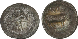 1 Litra. 430-420 a.C. ENTELLA. SICILIA. Anv.: Figura femenina de pie a izquierda aguantando a Phiale sobre altar. Rev.: Toro con cabeza de hombre para...