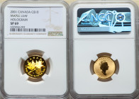 Elizabeth II gold Hologram Specimen "Maple Leaf" 10 Dollars 2001 SP69 NGC, KM440. 

HID09801242017

© 2022 Heritage Auctions | All Rights Reserved