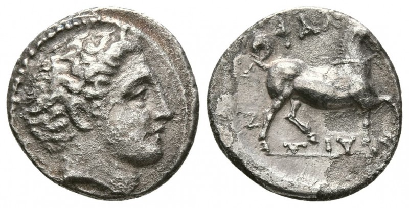 THESSALY, Phalanna. Mid 4th century BC. AR Drachm (2.4g 15.2mm,). 
 Bare head o...