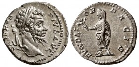Septimius Severus. AD 202-210. AR Denarius. (3.45 g, 17.92 mm)
 Rome.
 SEVERVS PIVS AVG, laureate head right / 
 FVNADTOR PACIS, Septimius, veiled,...