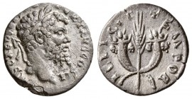 Septimius Severus. AD 193-211. AR Denarius.( 2 g, 17 mm)
 Emesa mint. Struck AD 194-195. 
 Laureate head right / 
 Grain ear between two crossed co...