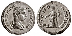 Geta, as Caesar. AD 203-209. AR Denarius. (3.5 g, 9.42 mm)
 Rome.
 P SEPTIMIVS GETA CAES, bare headed and draped bust right / 
 PROVID DEORVM, Prov...