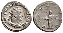 Valerian I. AD 253. AR Antonianus. (4.20 g, 20.40 mm)
 Joint reign.
 IMP VALERIANVS P AVG, radiate, draped bust right./
 SALVS AVGG, Salus standing...