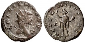 Gallienus. AD 253-268. AE Antoninianus.(4 g, 21.30 mm)
GALLIENVS AVG, radiate head r./
AETER - NITAS AVG, Sol standing l., holding globe and raising...