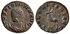 Salonina. AD 254-268. AE Antoninianus.(2.80 g, 19.60 mm)
 COR SALONINA AVG, Diademed and draped bust right./
 IVNONI CONS AVG, bearded elk standing ...