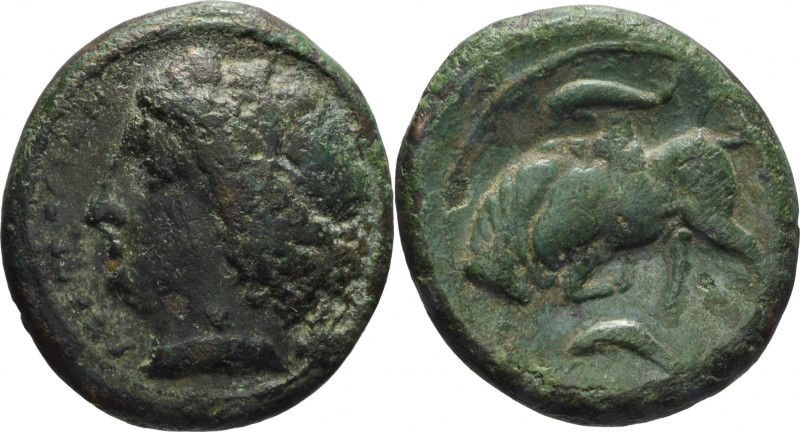 Sicily, Siracusa



BRONZE

Issue: 317-289 BC, Obv/ head of Kore left, beh...