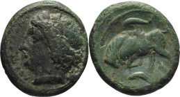 Sicily, Siracusa



BRONZE

Issue: 317-289 BC, Obv/ head of Kore left, behind the head a torch, Obverse/ bull butting left, above and below two ...