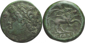 Sicily, Siracusa



BRONZE

Issue: 230-215 BC, Obverse/ laureate head of Hiero II left, Obverse/ knight on horse right, Mint of Syracuse, Bibl. ...