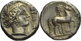 Sicily, Siculo-Punica



TETRADRAHMA

Issue: 320-300 BC, Obverse/ Arethusa head right, thymiaterion in front, dolphins around, R/ horse right, p...