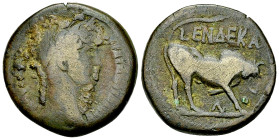 Hadrianus AE Diobol, Alexandria