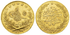 Abdul Hamid II AV 100 Kurush 1293/31