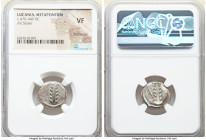 ANCIENT LOTS. Greek. Lucania. Metapontum. Ca. 470-440 BC. Lot of three (3) AR staters. NGC VF, scratches. Includes: Three AR staters, barley ear; dott...
