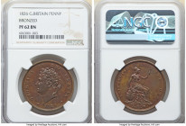 George IV bronzed Proof Penny 1826 PR62 Brown NGC, KM693, S-3823. Chocolate and caramel colored with muted luster and satin texture. 

HID09801242017
...