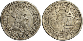 Sigismund II Augustus, Lithuania, czworak (quadruple groschen) 1566, Vilna R1