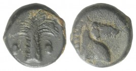Sicily, Carthaginian Domain, c. 4th-3rd century BC. Æ (15mm, 5.26g, 1h). Palm tree with two dates. R/ Horse's head r. Lindgren 626; HGC 2, 1669. Near ...