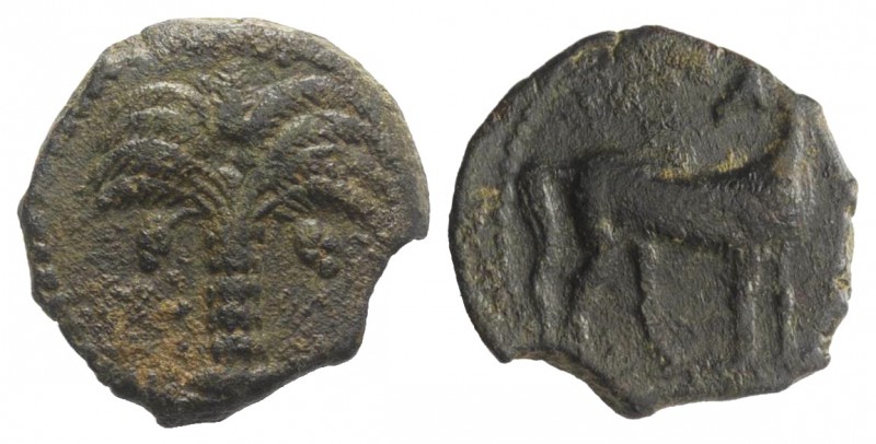 Sicily, Carthaginian Domain, c. 300 BC. Æ Half Shekel (16mm, 2.80g, 12h). Palm t...