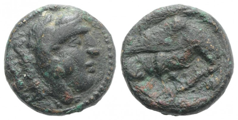 Kings of Macedon, Amyntas III (393-370/69 BC). Æ (16mm, 4.62g, 12h). Aigai or Pe...