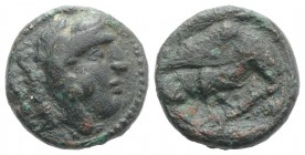 Kings of Macedon, Amyntas III (393-370/69 BC). Æ (16mm, 4.62g, 12h). Aigai or Pella. Head of Herakles r., wearing lion skin. R/ Eagle standing r., dev...
