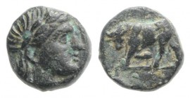 Mysia, Gambrion, after 350 BC. Æ (8mm, 1.10g, 9h). Laureate head of Apollo r. R/ Bull butting l. SNG Copenhagen 156. Green patina, VF