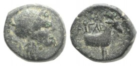 Aeolis, Aigai, 2nd-1st centuries BC. Æ (12mm, 2.46g, 11h). Helmeted head of Athena r. R/ Forepart of goat r. SNG München 363; SNG Copenhagen –; SNG vo...