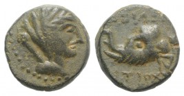 Seleukid Kings, Antiochos IV (175-164 BC). Æ (12mm, 2.74g, 6h). Antioch, c. 175-173/2. Veiled and diademed bust of Laodike IV r. R/ Head of elephant l...