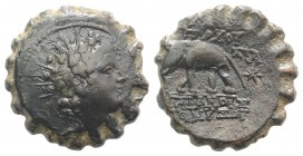 Seleukid Kings, Antiochos VI (145-142 BC). Serrate Æ (21.5mm, 7.62g, 12h). Antioch, c. 143-142 BC. Radiate head r., wearing ivy wreath. R/ Elephant ad...