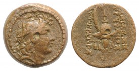 Seleukid Kings, Tryphon (c. 142-138 BC). Æ (17mm, 5.07g, 12h). Antioch on the Orontes. Diademed head r. R/ Spiked Macedonian helmet adorned with a wil...