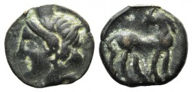 Carthage, 215-201 BC. Æ Shekel (19mm, 3.79g, 12h). Wreathed head of Tanit l. R/ Horse standing r., head l. SNG Copenhagen 311. Green patina, near VF