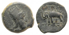 Kings of Armenia, Tigranes V (c. AD 6-12). Æ (16mm, 5.42g, 1h). Bust r., wearing tiara. R/ Elephant r. Kovacs, Armenia II 7; CAA 151; AC 171. Green pa...