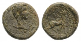Germanicus (Caesar, 15 BC-AD 19). Phrygia, Apameia. Æ (13mm, 3.43g, 12h). Gaius Julius Callicles, magistrate. Bare head r. R/ Stag standing r. on maea...