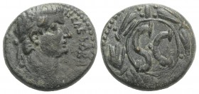 Tiberius (14-37). Seleucis and Pieria, Antioch. Æ (22mm, 8.04g, 12h), AD 31-2. Laureate head r. R/ Large SC within laurel-wreath. RPC I 4273; BMC 158-...