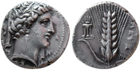 LUCANIA, Metapontium. 330-300 BC. AR Stater. Rare.