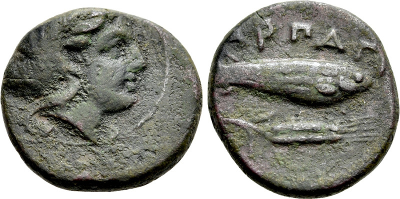 MYSIA. Harpagion. Ae (Circa 400-375 BC). 

Obv: Laureate head of nymph right, ...