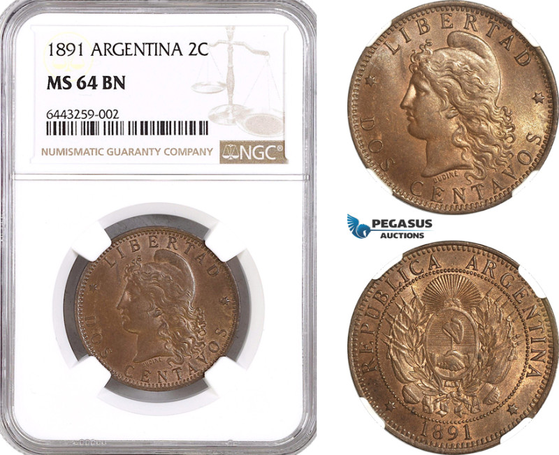 Argentina, 2 Centavos 1891, KM# 33, NGC MS64BN