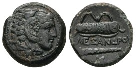 Kings of Macedon, Alexander III 'the Great', AE, 5.31 g 18.33 mm. 336-323 BC.
Obv: Head of Herakles right, wearing lion skin.
Rev: [A]ΛEΞANΔPO[Y], C...