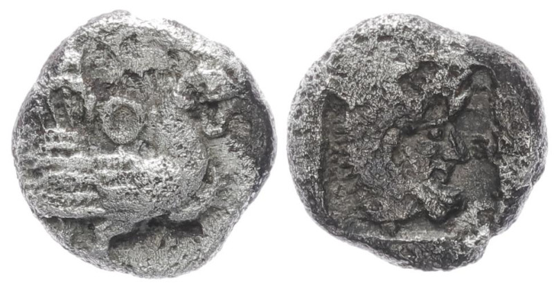 Thrace, Dikaia. AR Obol, 0.89 g 9.46 mm. Circa 500-450 BC.
Obv: Cock standing ri...