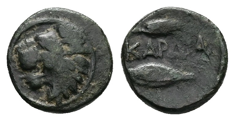 Thrace, Kardia. AE, 1.18 g 11.25 mm. Circa 350-309 BC.
Obv: Head of lion left....