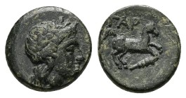 Troas, Gargara. AE, 2.11 g 12.64 mm. Circa late 3rd -early 2nd century BC.
Obv: Laureate head of Apollo right
Rev: ΓAP, horse galloping right; club ...