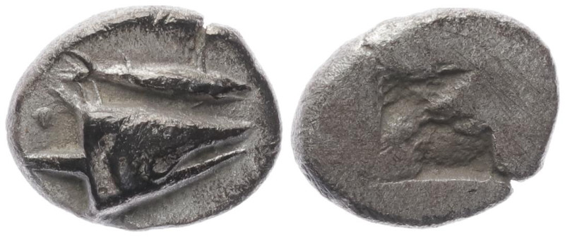 Mysia, Kyzikos. AR Obol, 1.07 g 10.93 mm. Circa 550-500 BC.
Obv: Head of tunny f...