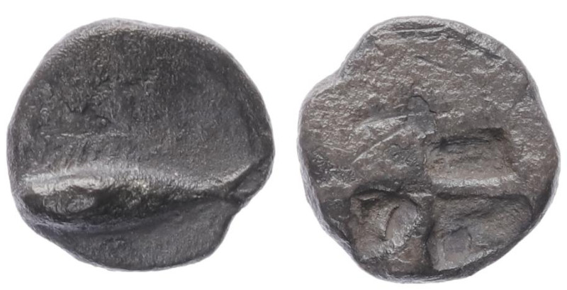 Mysia, Kyzikos. AR Hemiobol, 0.50 g 8.92 mm. Circa 520-480 BC. 
Obv: Tunny fish ...