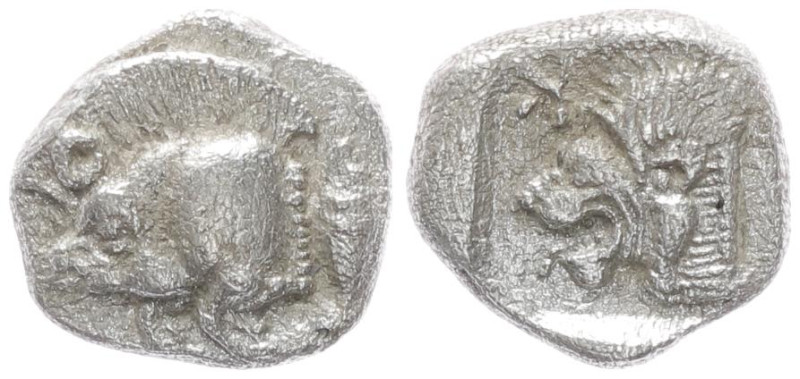 Mysia, Kyzikos. AR Obol. 0.80 g 8.94 mm. Circa 450-400 BC. 
Obv: Forepart of boa...