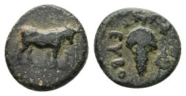 Euboea. Euboian League. AE, 2.31 g 13.22 mm. Circa 272-267 BC.
Obv: Bull standing right.
Rev: EYBO, grape bunch on vine, vine leaf right.
Ref:BCD E...