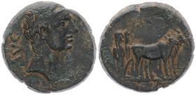 Macedon, Philippi. Augustus, 27 BC-AD 14. AE. 4.47 g. 18.96 mm.
Obv: AVG. Bare head of Augustus, right.
Rev: Two founders driving yoke of oxen right, ...